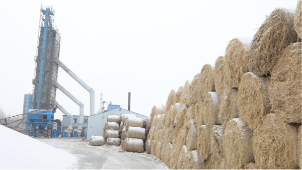 煤炭價格高，烘糧利潤低，吉林大安市500噸糧食烘干塔改用秸稈大包直燃鍋爐，每天省3萬